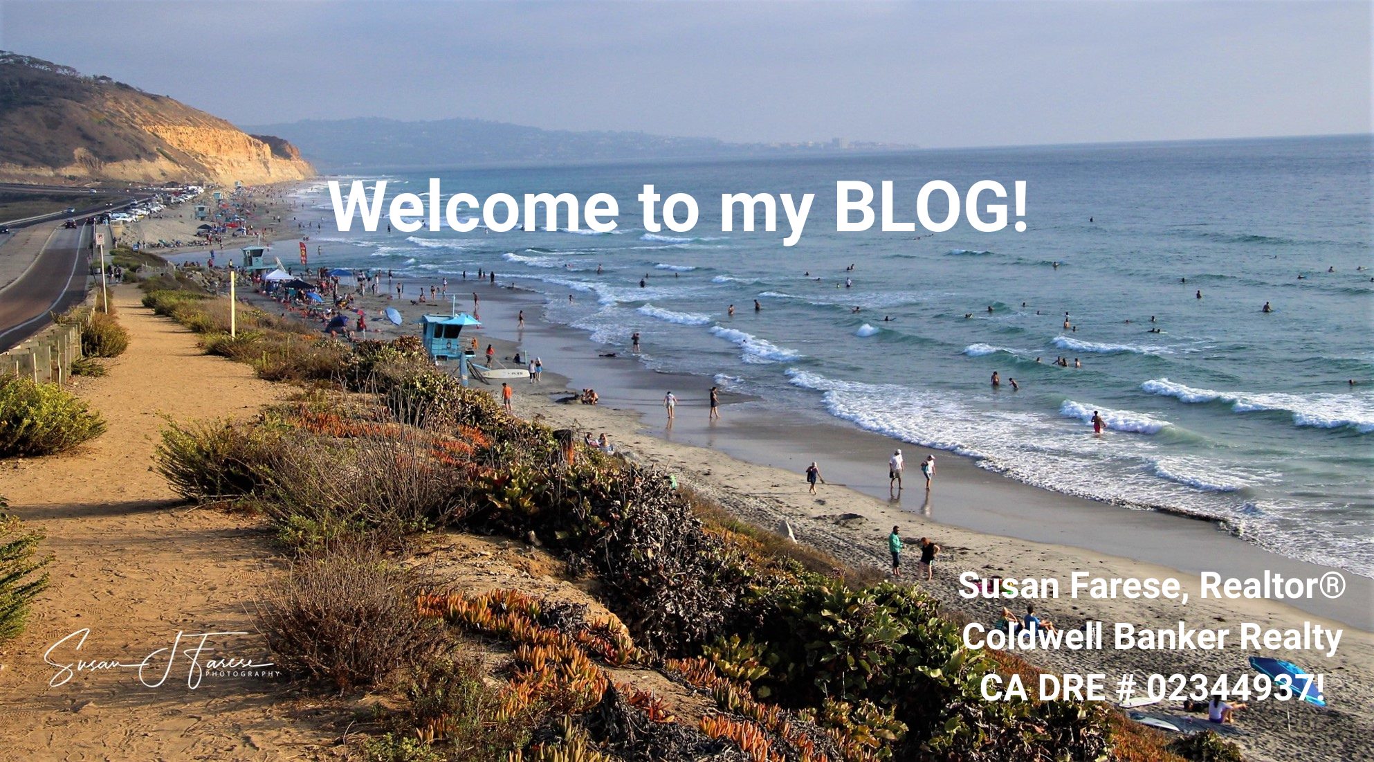 Torrey Pines State Beach. Photo by Susan J. Farese